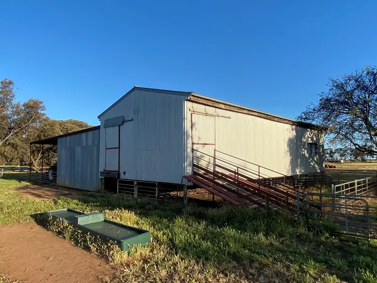 Fourth view of Homely rural property listing, 14 YALOKE ROAD, Deniliquin NSW 2710