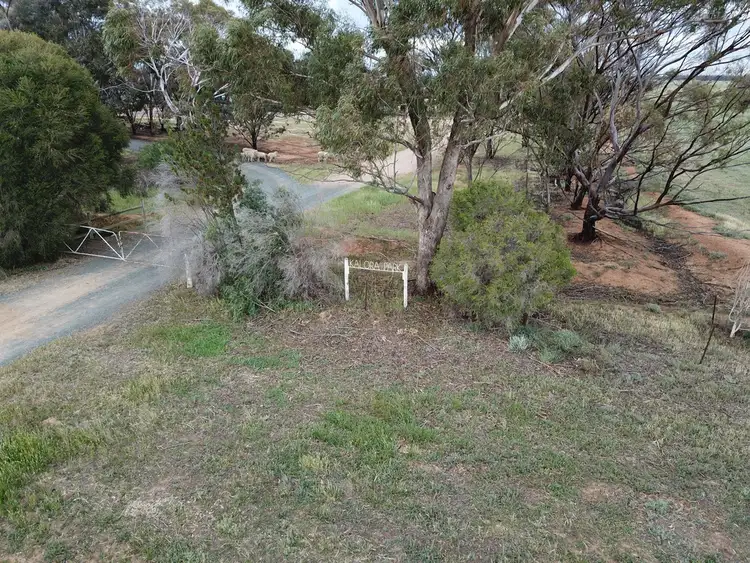 Fifth view of Homely rural property listing, 14 YALOKE ROAD, Deniliquin NSW 2710