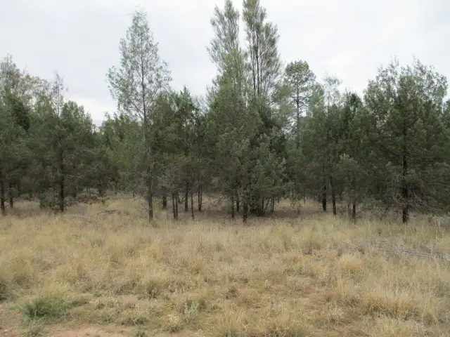 Lot 35 Males Drive, Tara QLD 4421