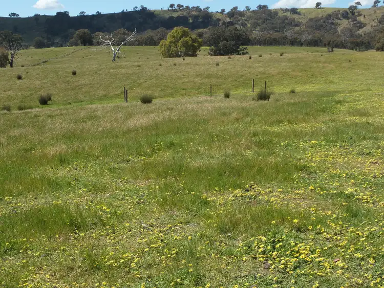 Second view of Homely rural property listing, 27A Rifle Range Road, Amphitheatre VIC 3468