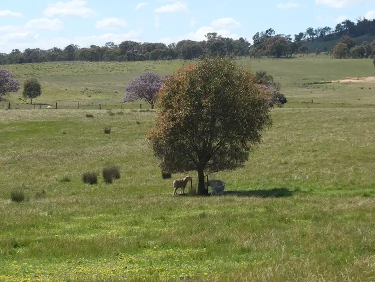 Third view of Homely rural property listing, 27A Rifle Range Road, Amphitheatre VIC 3468