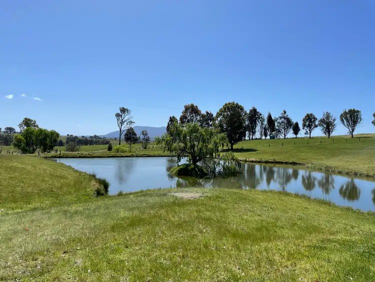 Sixth view of Homely land listing, Lot 2154 Coolagolite Rd, Coolagolite NSW 2550