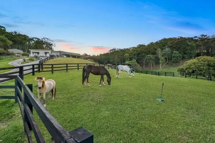 Fourth view of Homely house listing, 50 Proudlock Drive, Willow Vale QLD 4209