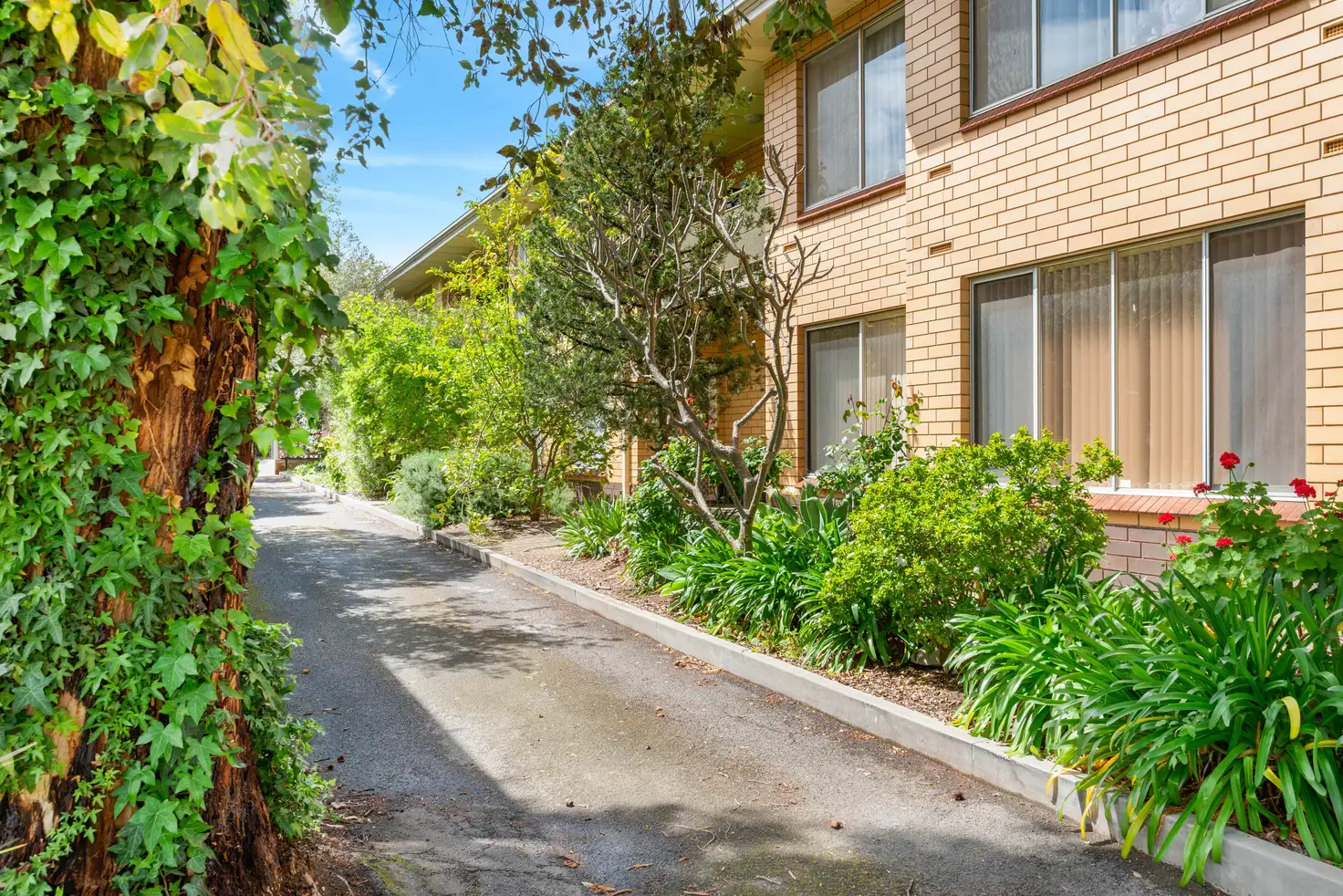 Main view of Homely unit listing, 6/4 Collyer Court, Linden Park SA 5065