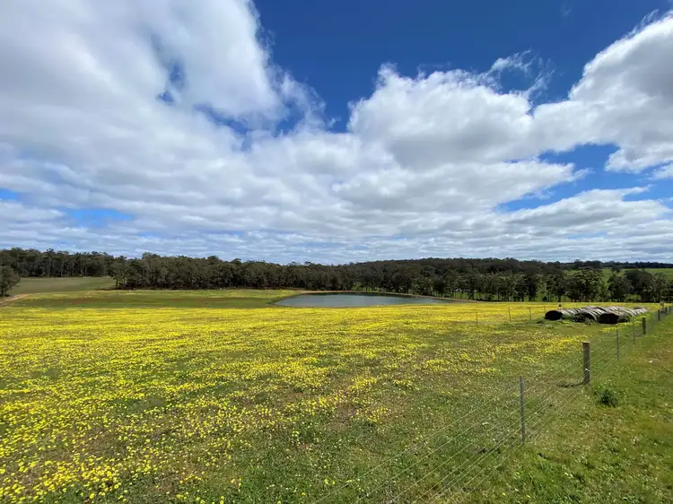 Main view of Homely rural property listing, Lot 10838 Piano Gully Road (Middlesex), Manjimup WA 6258