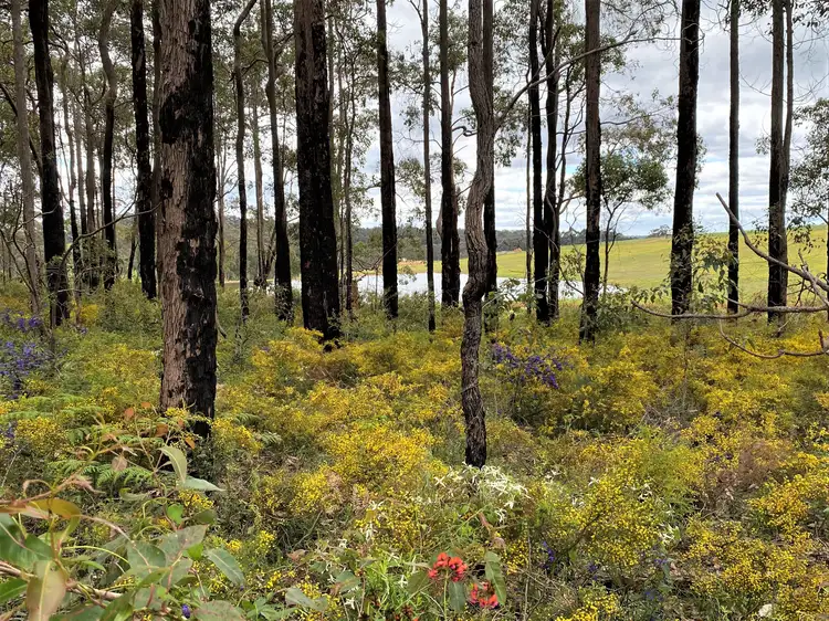 Fourth view of Homely rural property listing, Lot 10838 Piano Gully Road (Middlesex), Manjimup WA 6258