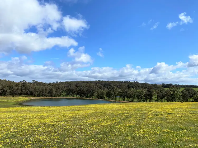 Fifth view of Homely rural property listing, Lot 10838 Piano Gully Road (Middlesex), Manjimup WA 6258