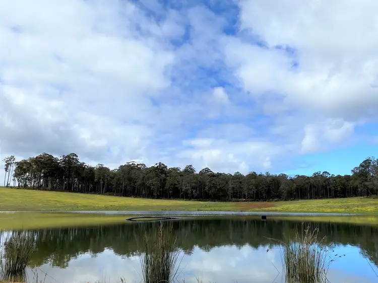Sixth view of Homely rural property listing, Lot 10838 Piano Gully Road (Middlesex), Manjimup WA 6258