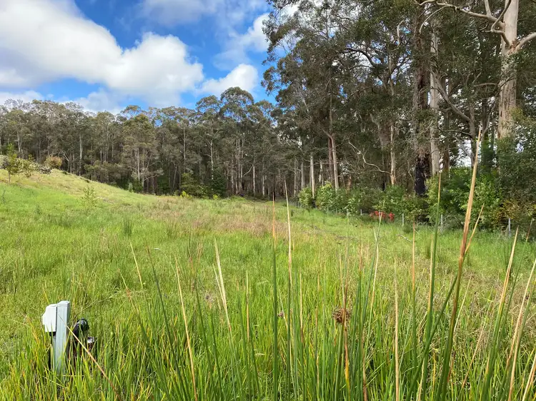 Seventh view of Homely rural property listing, Lot 10838 Piano Gully Road (Middlesex), Manjimup WA 6258