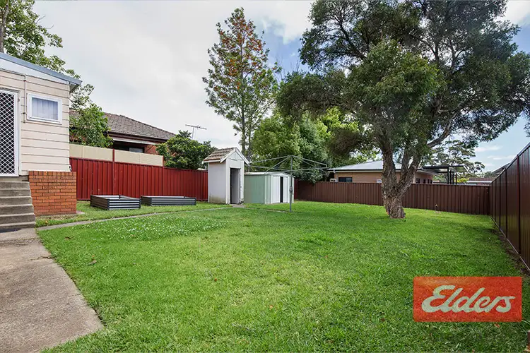 Sixth view of Homely house listing, 109 Banksia Road, Greenacre NSW 2190