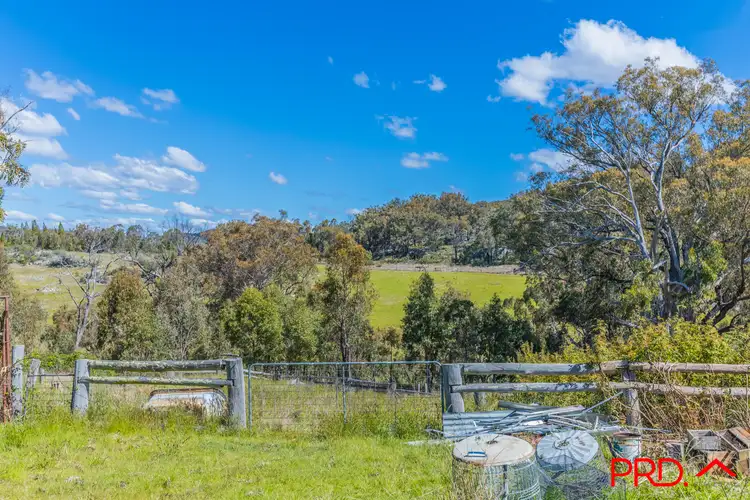 Third view of Homely rural property listing, 95 Watson Creek-Manilla Road, Watsons Creek NSW 2355