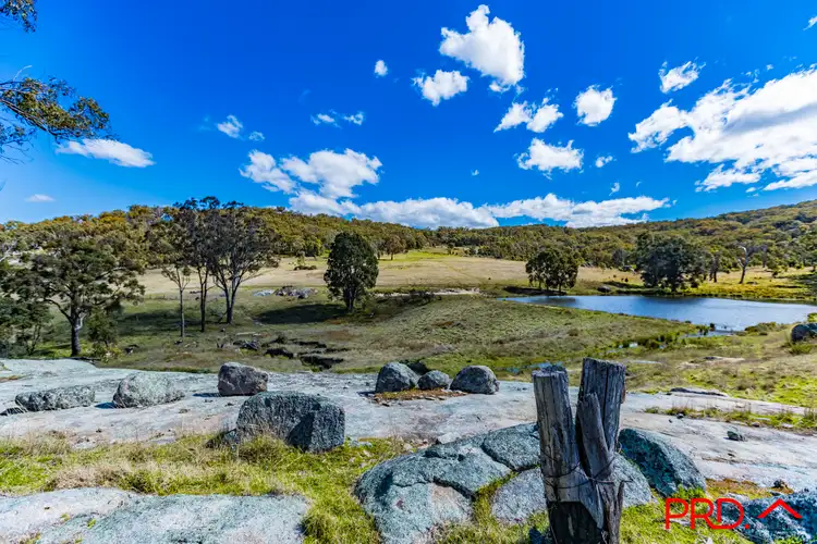 Fifth view of Homely rural property listing, 95 Watson Creek-Manilla Road, Watsons Creek NSW 2355
