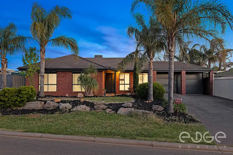 19 Buttercup Grove, Blakeview SA 5114