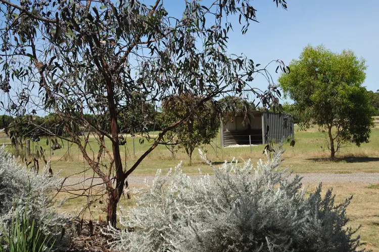Sixth view of Homely rural property listing, 921-949 Portarlington Road, Curlewis VIC 3222
