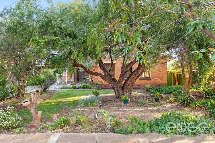 16 Minchington Road, Elizabeth North SA 5113