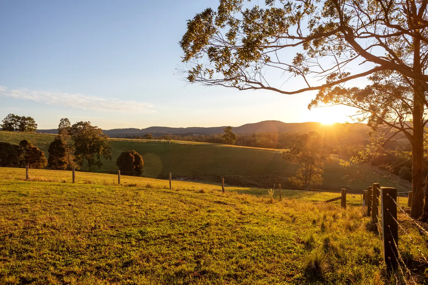 Main view of Homely rural property listing, 18 Wattley Hill Road, Wootton NSW 2423