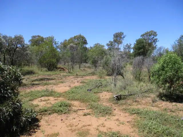 Main view of Homely rural property listing, Lot 25 Gazzards Road, Tara QLD 4421