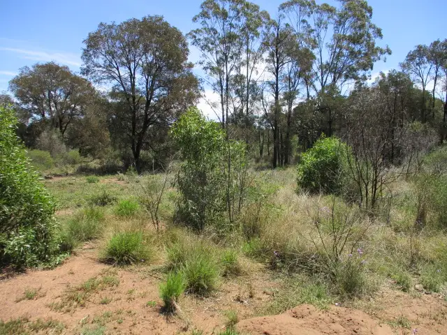 Third view of Homely rural property listing, Lot 25 Gazzards Road, Tara QLD 4421