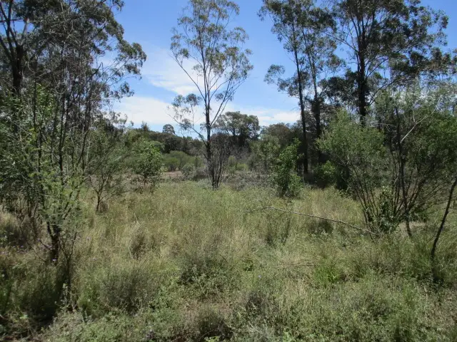 Fourth view of Homely rural property listing, Lot 25 Gazzards Road, Tara QLD 4421