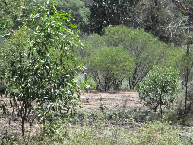 Fifth view of Homely rural property listing, Lot 25 Gazzards Road, Tara QLD 4421