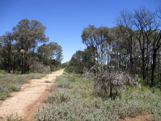 Seventh view of Homely rural property listing, Lot 25 Gazzards Road, Tara QLD 4421