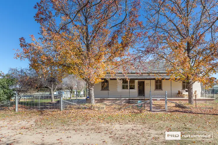 Main view of Homely house listing, 31-33 River Street, Moonbi NSW 2353