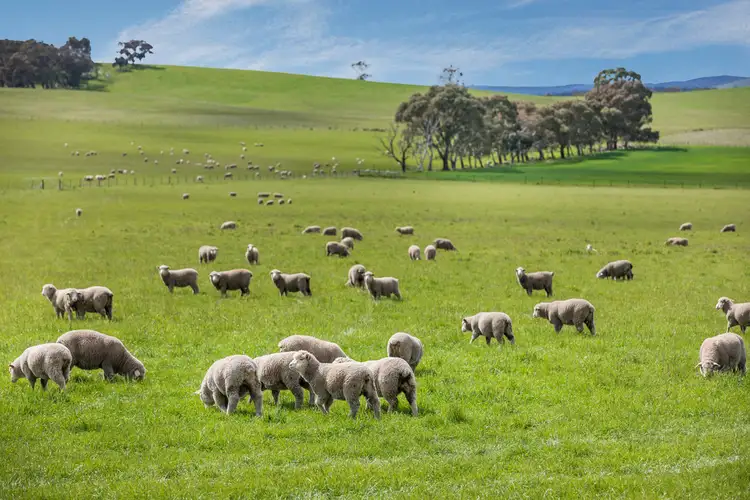 Third view of Homely rural property listing, 567 Werona-Kingston Road, Werona VIC 3364