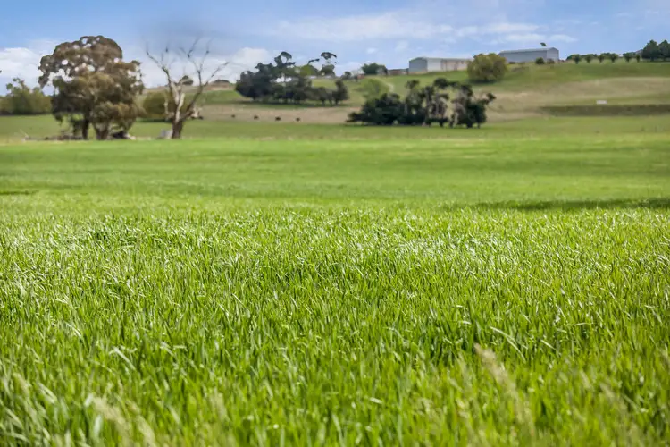 Seventh view of Homely rural property listing, 567 Werona-Kingston Road, Werona VIC 3364