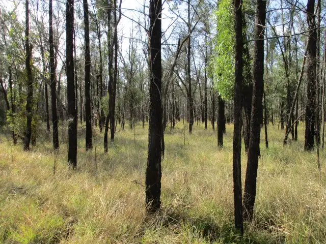 Third view of Homely rural property listing, Lot 1 Halliford Road, Ducklo QLD 4405