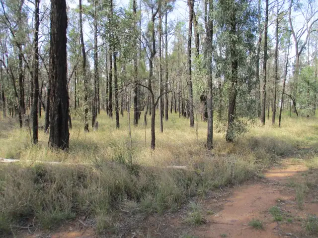 Seventh view of Homely rural property listing, Lot 1 Halliford Road, Ducklo QLD 4405