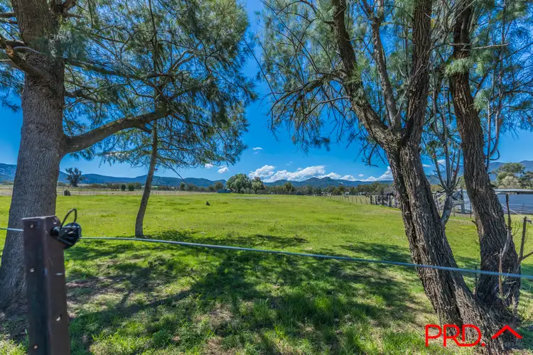 Fourth view of Homely rural property listing, 32 Braefarm Road, Moonbi NSW 2353