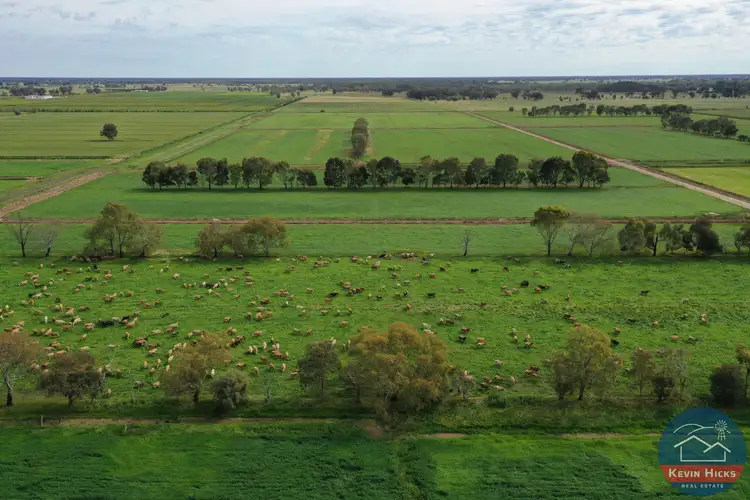 Third view of Homely rural property listing, 460 Numurkah Boundary Road, Tallygaroopna VIC 3634
