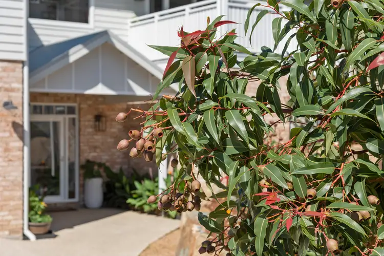 Third view of Homely house listing, 9 Kennedy Crescent, Milton NSW 2538