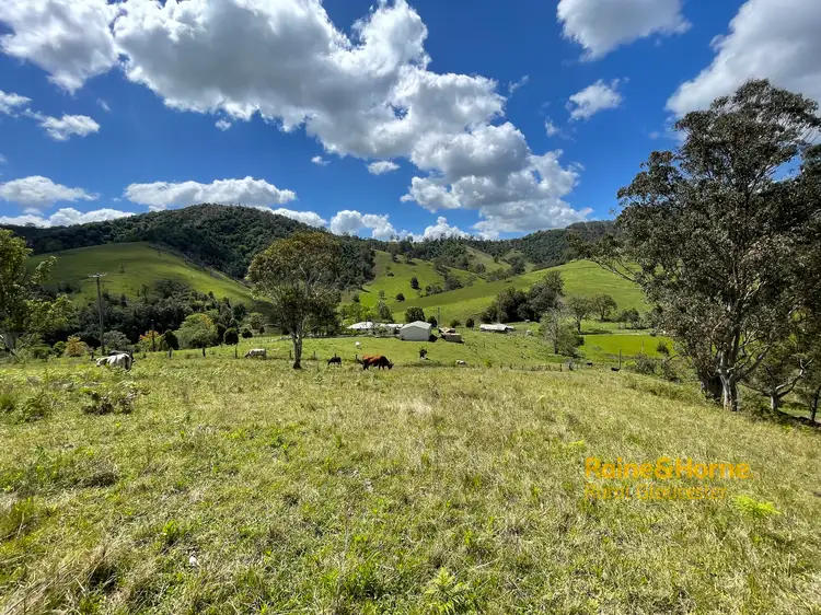 Second view of Homely rural property listing, 202 Titaatee Creek Road, Gloucester NSW 2422