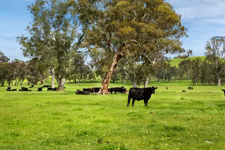 Fourth view of Homely rural property listing, 5620 Melba Highway, Yea VIC 3717