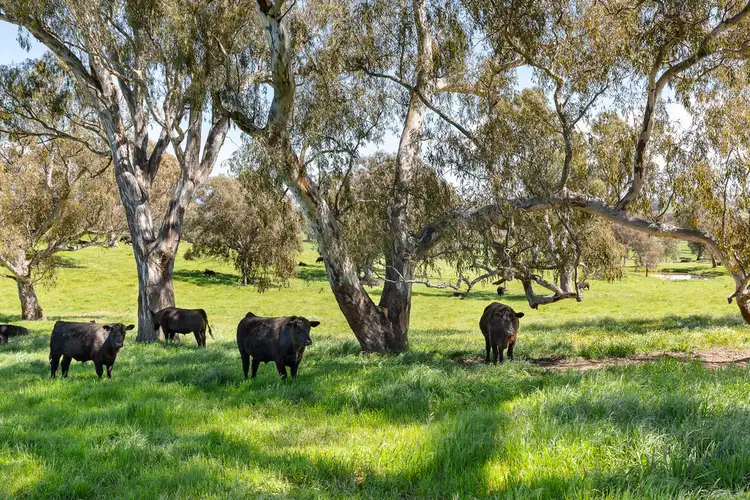 Fourth view of Homely rural property listing, 341 Killingworth West Road, Killingworth VIC 3717