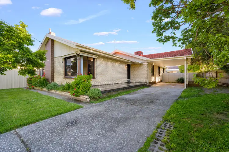 Main view of Homely house listing, 141 Lawrence Street, Wodonga VIC 3690