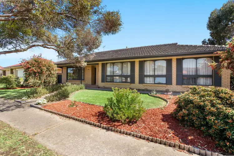 29 Shelley Avenue, Fulham Gardens SA 5024