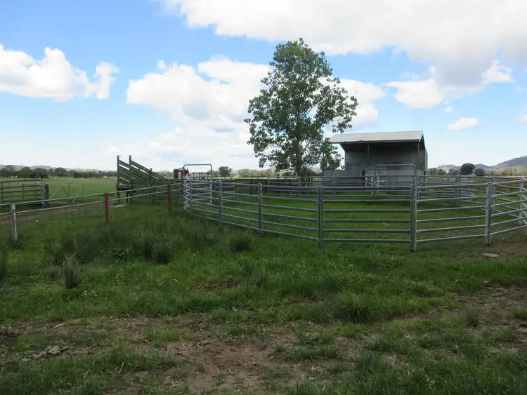 Fifth view of Homely rural property listing, 0 Molyullah-Tatong Road, Molyullah VIC 3673