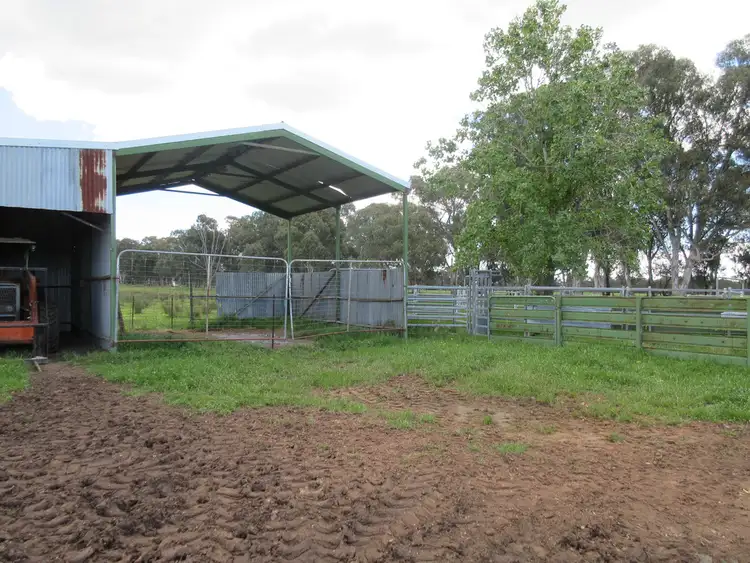 Seventh view of Homely rural property listing, 0 Molyullah-Tatong Road, Molyullah VIC 3673