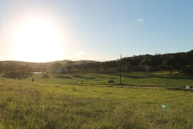 Lot 1 Cowley Road, Cleve SA 5640