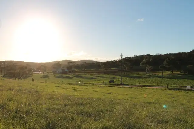 Main view of Homely land listing, Lot 1 Cowley Road, Cleve SA 5640