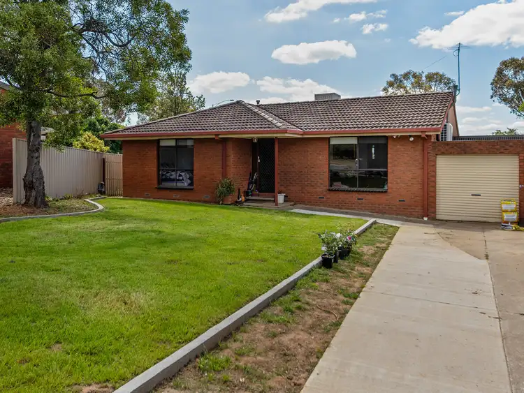 Main view of Homely house listing, 11 Deakin Court, Wodonga VIC 3690