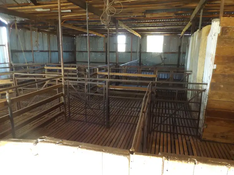 Seventh view of Homely rural property listing, 72 CASEY ROAD, Minvalara SA 5422