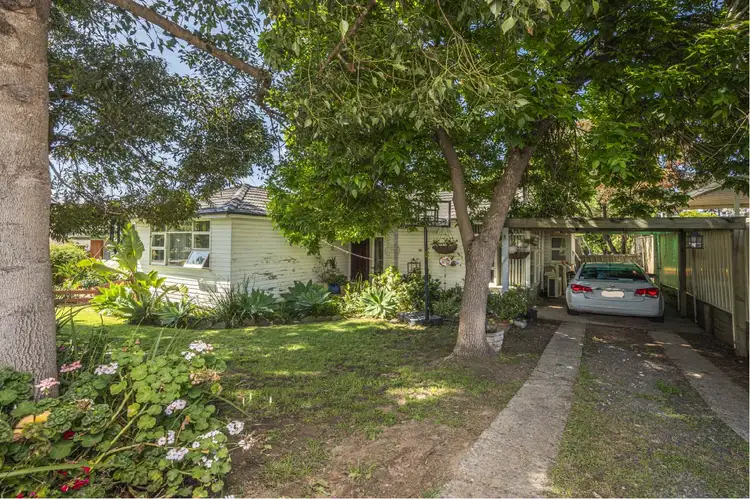 Main view of Homely house listing, 16 Christopher Avenue, Camden NSW 2570
