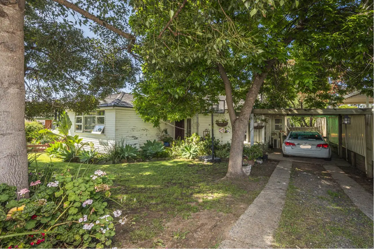 Main view of Homely house listing, 16 Christopher Avenue, Camden NSW 2570