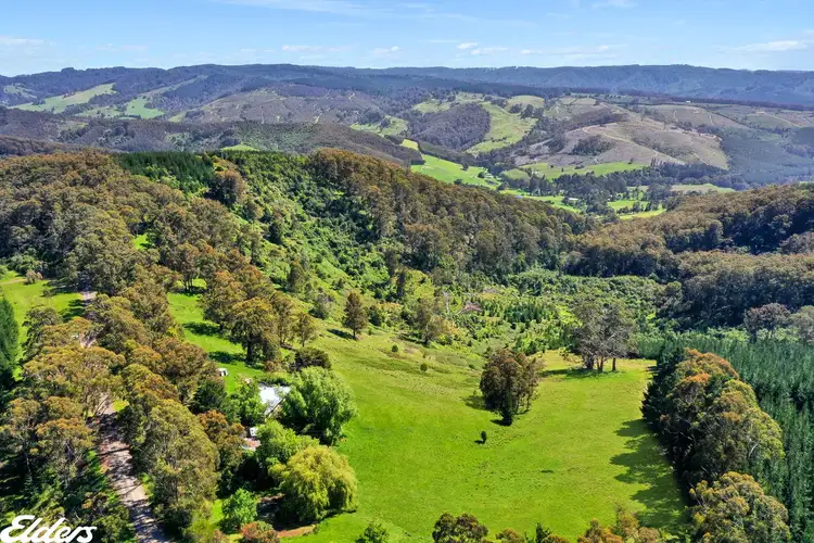 542 WHITELAWS TRACK, Devon North VIC 3971