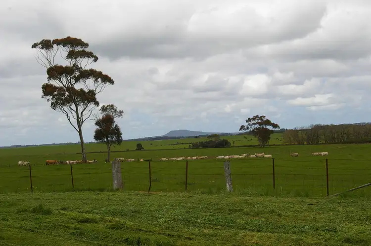 Fourth view of Homely rural property listing, 7994 Hamilton-Port Fairy Road, Hamilton VIC 3300