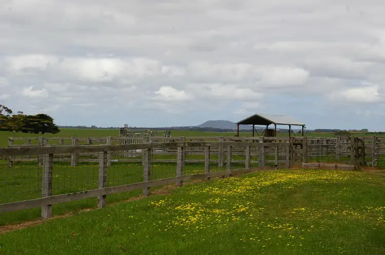 Sixth view of Homely rural property listing, 7994 Hamilton-Port Fairy Road, Hamilton VIC 3300