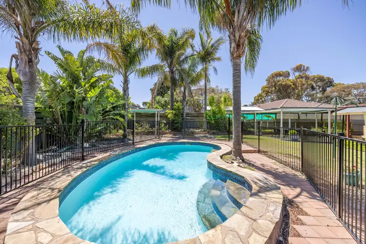 31 Suzanne Avenue, Morphett Vale SA 5162